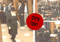 פרסום ראשון: תמונות חדשות מחודשים ניסן - אייר תש"נ